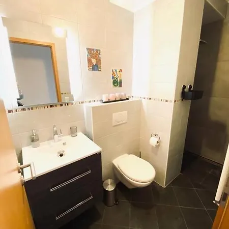 Large Studio In Center With Terrace. 1 Min Walk To The Tram. Cosy