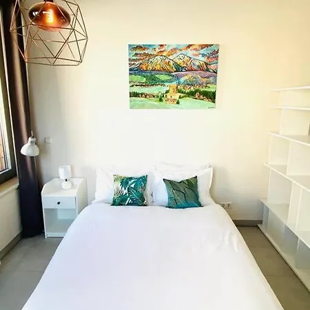Large Studio In Center With Terrace. 1 Min Walk To The Tram. Cosy